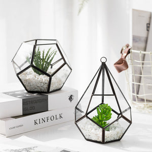 Transform Your Space with Home Succulent Bonsai Decoration Piece